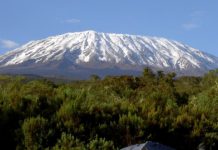 Tigo’s Mount Kilimanjaro tree planting campaign lures top CEOs