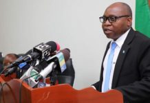 Minister wants Mikumi to uplift rhino numbers