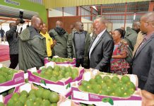 Report: Why cross-border traders breach regulations