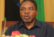 SHEIN: MAGUFULI SAW BRIGHT TANZANIA IN FUTURE