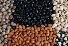 FARMERS SHOULD CONCENTRATE ON DROUGHT TOLERANT CROPS