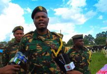 MAFINGA ARMY AND REVOLUTION IN AGRICULTURE