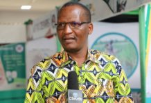 Govt charts strategies to strengthen women’srights