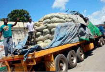 Kenya maize ban ‘breaks EAC Protocol’