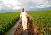 KAPUNGA FARM OFFERS NHIF CARDS TO ORPHANS