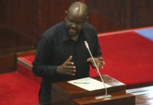 TIRDO THROWS WEIGHT ON MUSHROOM FARMING