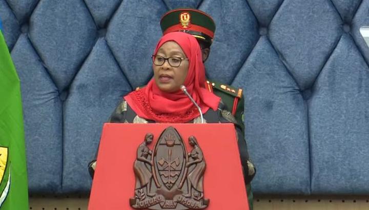 Govt to give tax breaks on air Tanzania Govt to give tax breaks on air Tanzania