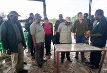 INCREASING LIVESTOCK IN SERENGETI WORRIES MINISTER