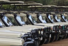 ‘EXPEDITE CASE ON BODIES OF TOURIST SAFARI VEHICLES’