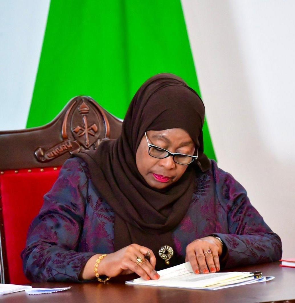 Samia picks 23 new ambassadors Samia picks 23 new ambassadors