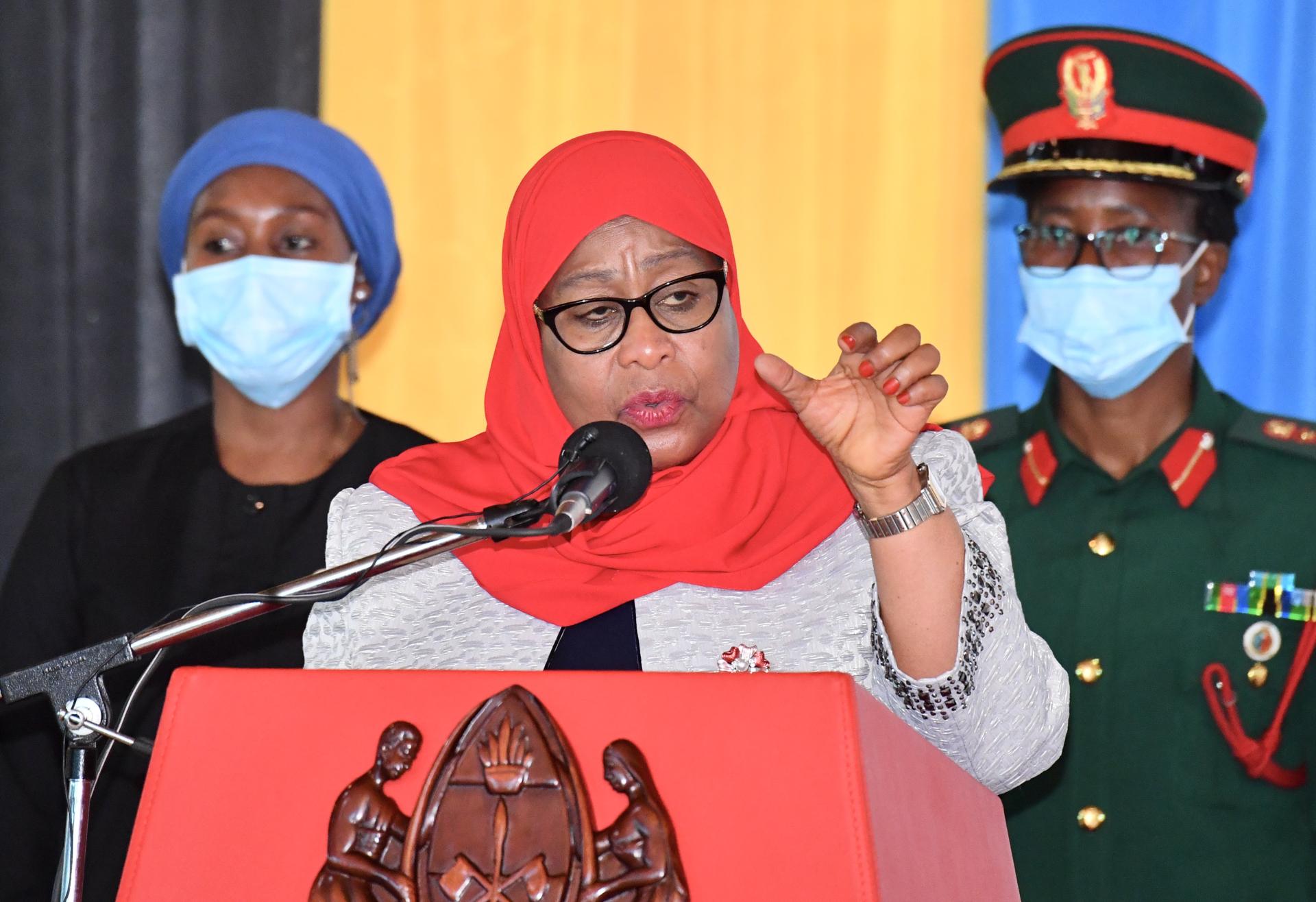 Samia takes on vehicle inspection challenge - Tanzania