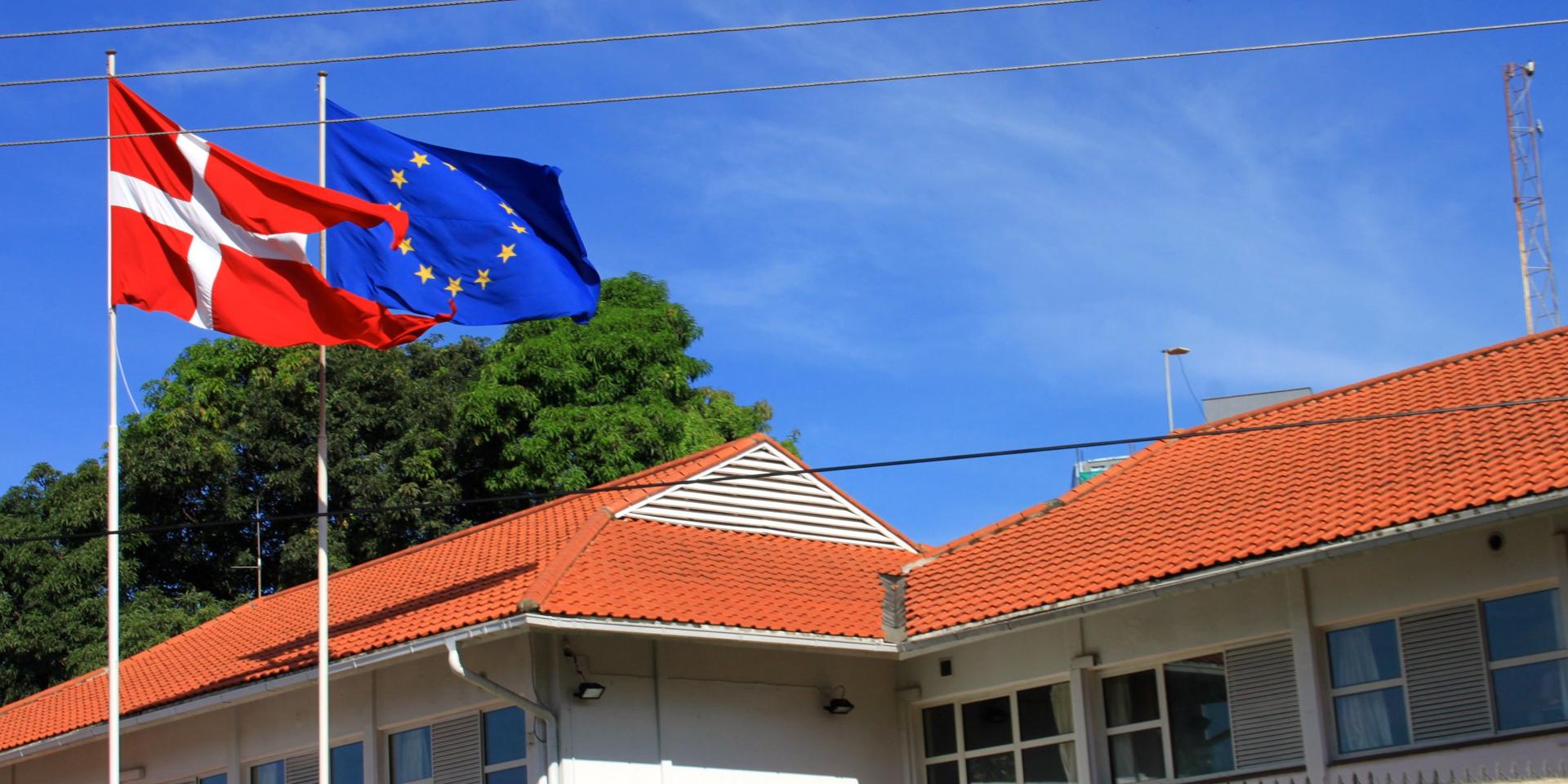 Tanzania saddened by Denmark's decision to close Dar mission by 2024 Tanzania saddened by Denmark's decision to close Dar mission by 2024