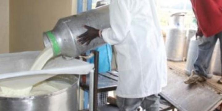 Govt touts investment in dairy industry Govt touts investment in dairy industry