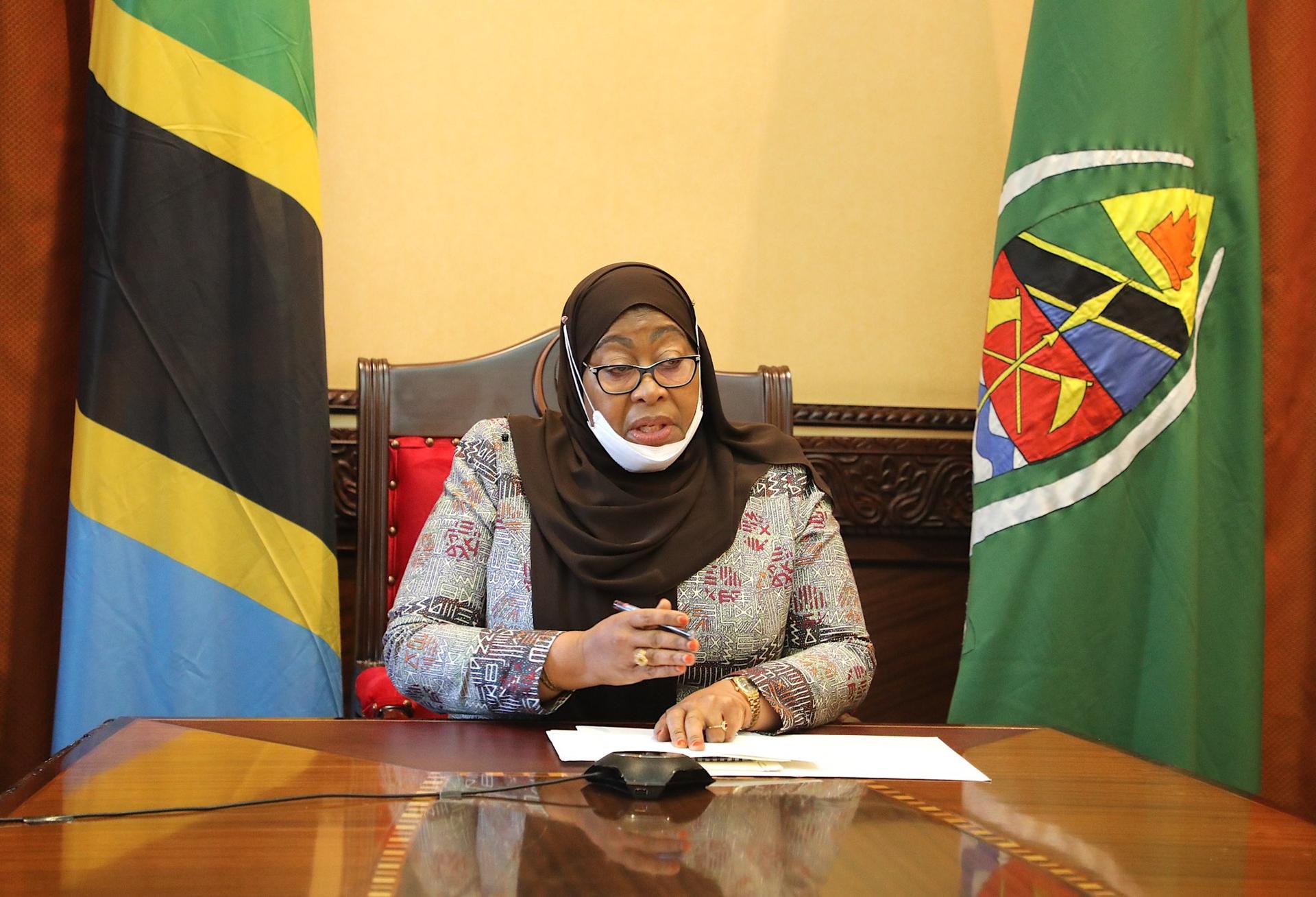 AfDB boss satisfied by Samia's support to private sector AfDB boss satisfied by Samia's support to private sector