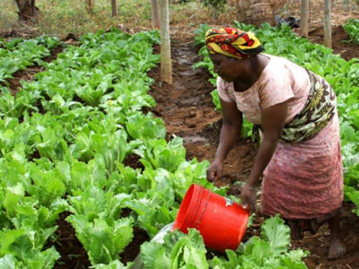 Garden attendants get organic training management Garden attendants get organic training management