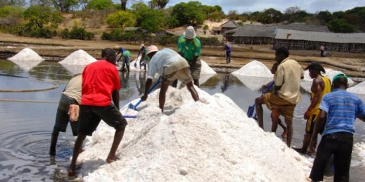Issue us with mining licences, govt asked Issue us with mining licences, govt asked