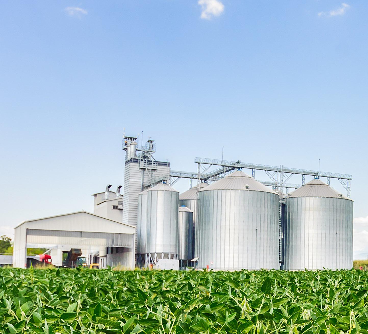 Katavi 14bn/- silos ready next March Katavi 14bn/- silos ready next March
