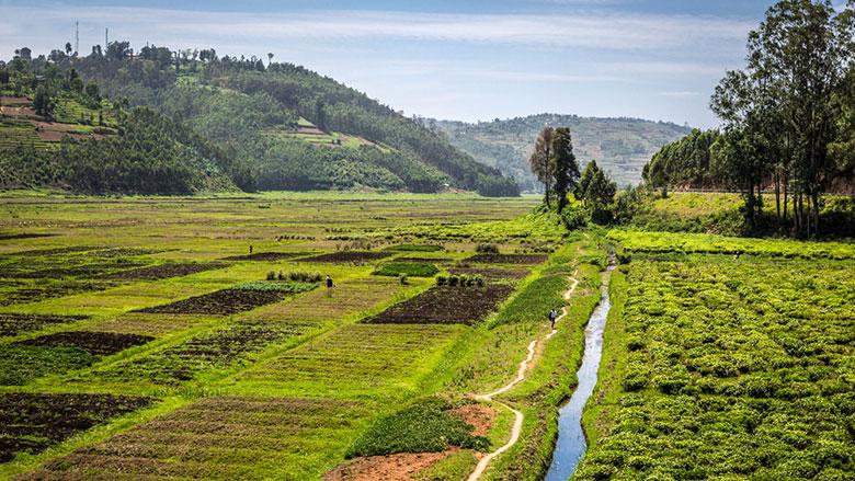 Govt commits to effective supervision of land management Govt commits to effective supervision of land management