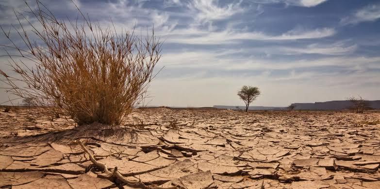 Govt intensifies fight against climate change Govt intensifies fight against climate change