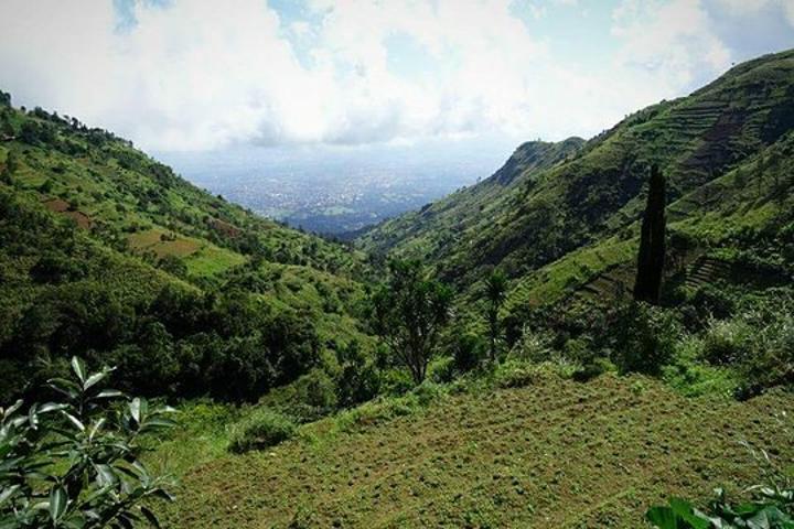 Morogoro to focus on environment conservation - Tanzania