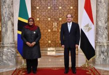 Why Egypt is building a billion-dollar city in Tanzania?