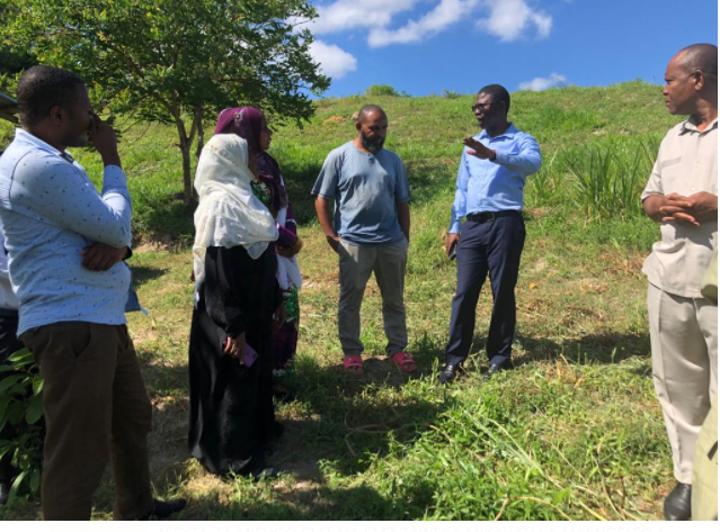 Mainland, Isles join forces to boost livestock sector Mainland, Isles join forces to boost livestock sector