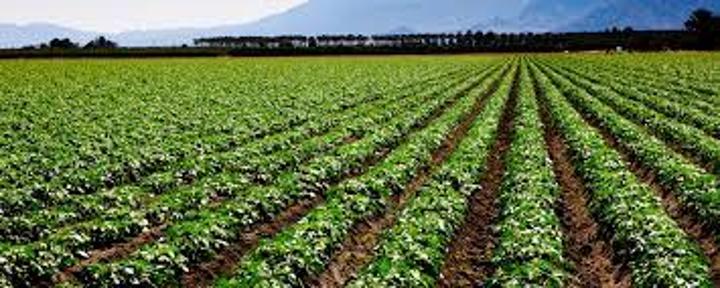 Tz domesticates Malabo declaration in agriculture investment plans Tz domesticates Malabo declaration in agriculture investment plans