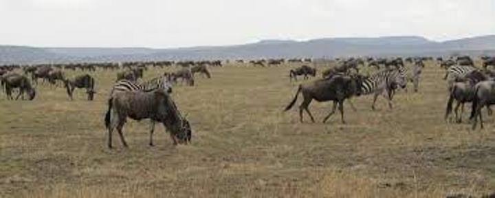 300 scientists to discuss biodiversity conservation 300 scientists to discuss biodiversity conservation