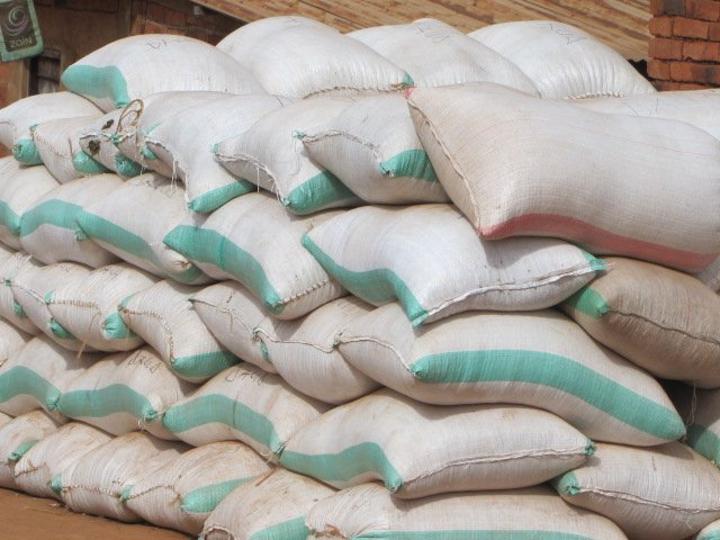 Coffee firm donates maize to schools in K’njaro Coffee firm donates maize to schools in K’njaro