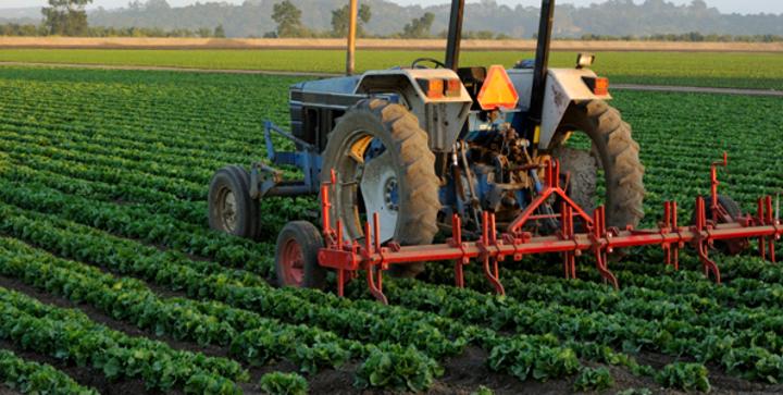 Tanzania promotes its agricultural goods to US Tanzania promotes its agricultural goods to US