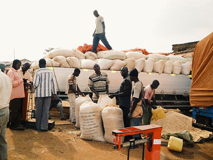Over 2000 Dodoma residents trained on food security Over 2000 Dodoma residents trained on food security