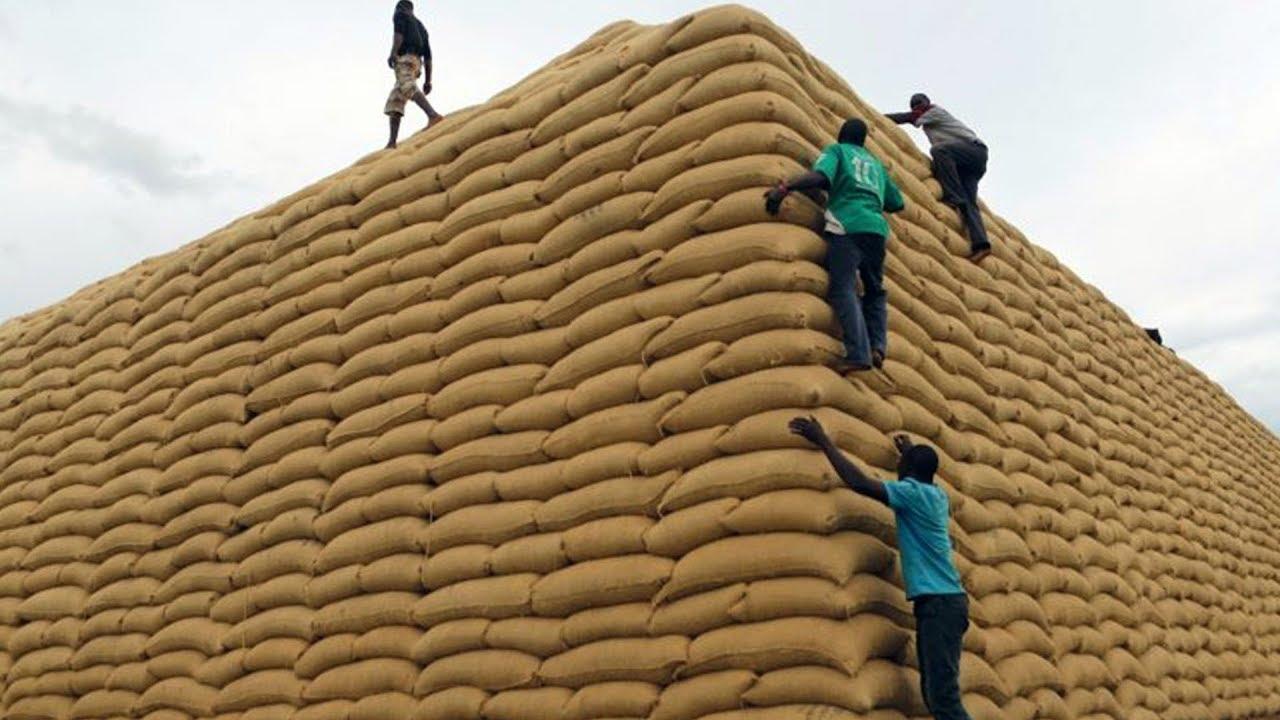 Food stocks in Tanzania rise to new six-year high Food stocks in Tanzania rise to new six-year high