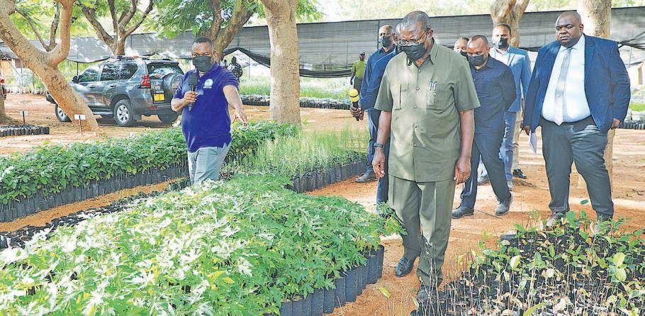VP Mpango spearheads green campaign VP Mpango spearheads green campaign