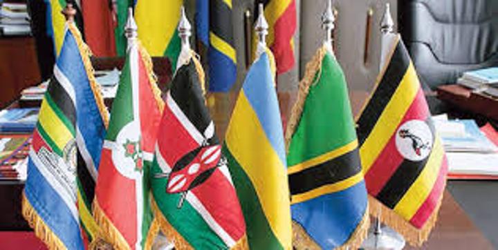 48 Tanzanians shortlisted for key EAC posts 48 Tanzanians shortlisted for key EAC posts