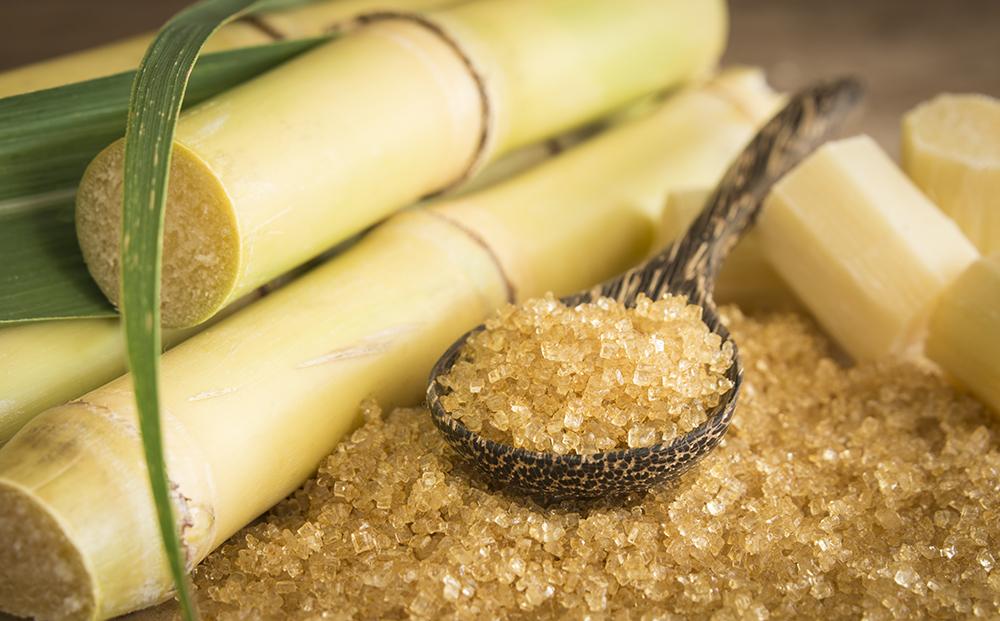 Tanzania can become Africa’s hub for sugar Tanzania can become Africa’s hub for sugar