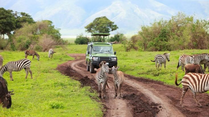 Tanzania named among top 5 tourist destinations in Africa Tanzania named among top 5 tourist destinations in Africa