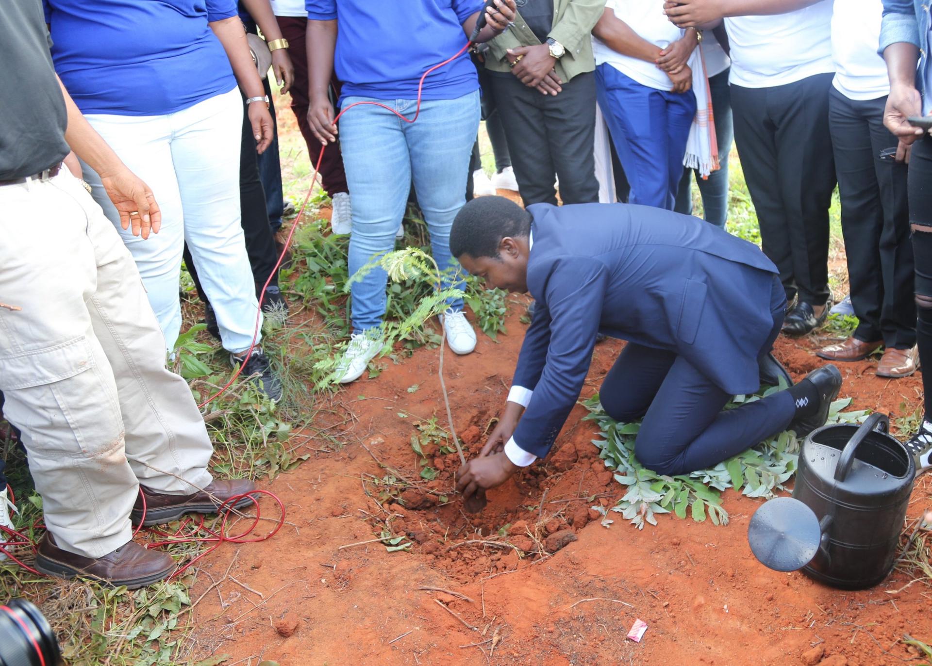 Jafo: Oversee tree planting national campaign Jafo: Oversee tree planting national campaign