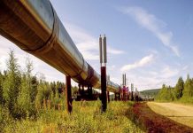 Chinese, French Oil Majors Seek $10Billion Deal for Tanzania ,Uganda Megaproject Chinese, French Oil Majors Seek $10Billion Deal for Tanzania ,Uganda Megaproject