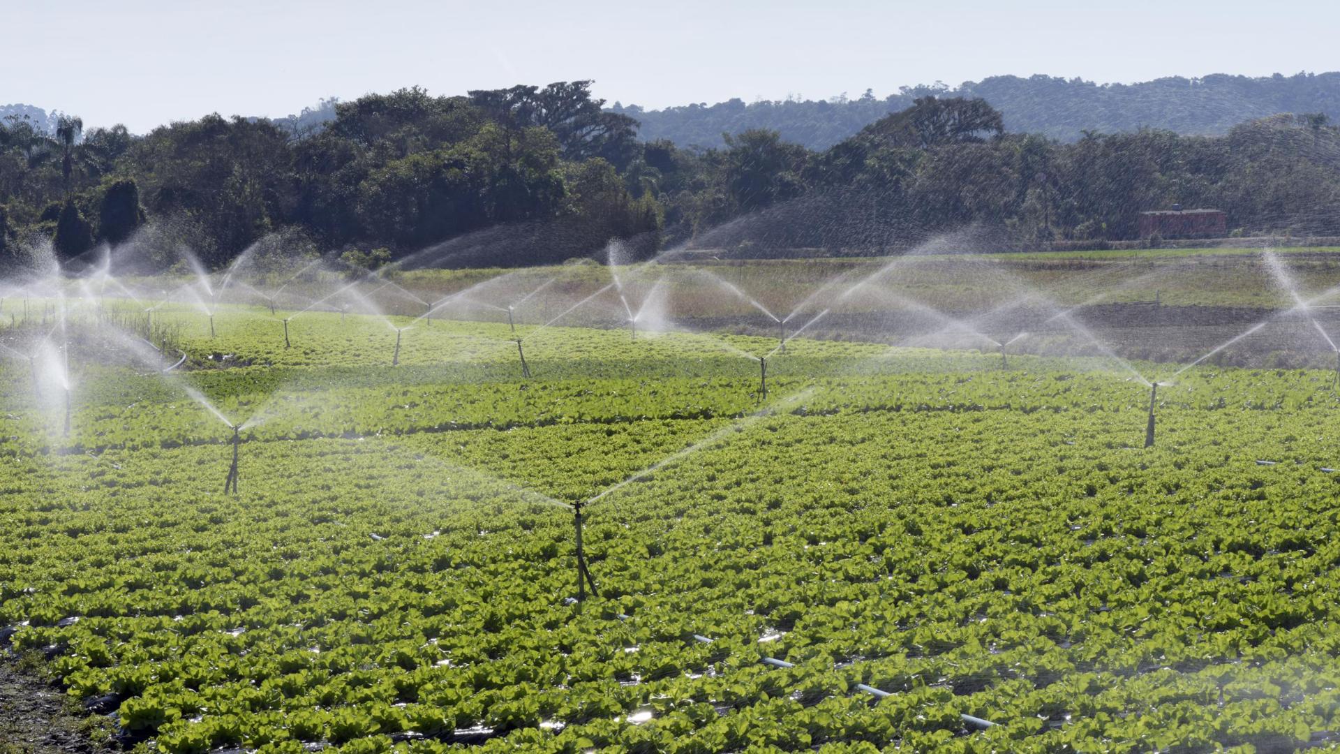 Mwanga to triple irrigation areas by June Tanzania