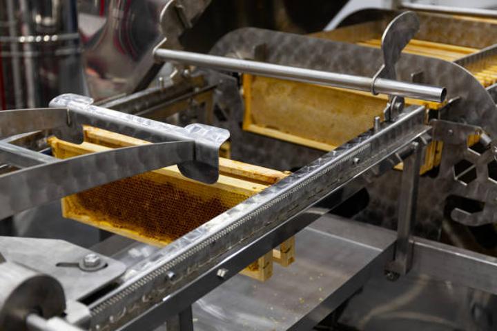Establishment of Itigi honey processing plants in pipeline Establishment of Itigi honey processing plants in pipeline