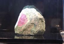 Record-breaking Tanzanian ruby exposed in Dubaï Record-breaking Tanzanian ruby exposed in Dubaï
