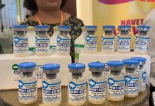 Vietnam develops new African swine fever vaccine Vietnam develops new African swine fever vaccine