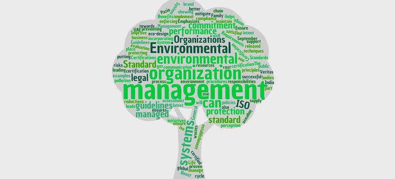 TBS: environmental standards in pipeline - Tanzania