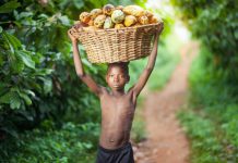 We can end child labour in Africa We can end child labour in Africa