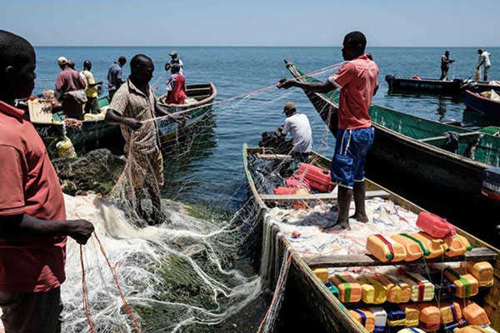 Why more efforts are needed to protect fishery sector - Tanzania