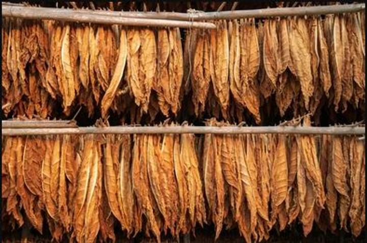 tobacco oud vs tuscan leather Tuscan Leather Intense Dupe Discovery