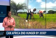 Africa to win fight against hunger by 2030? Africa to win fight against hunger by 2030?