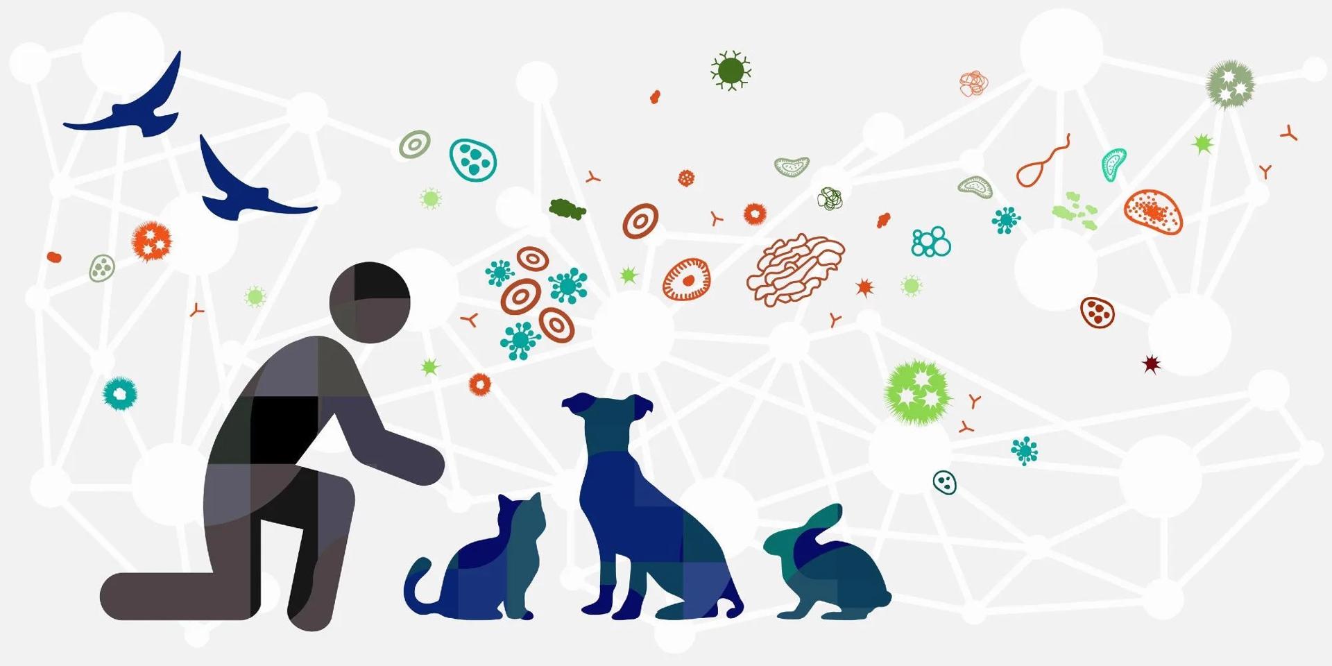 PMO introduces unit for controlling zoonotic diseases PMO introduces unit for controlling zoonotic diseases