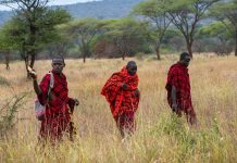 Tanzania frees 24 Maasais accused of killing policeman Tanzania frees 24 Maasais accused of killing policeman