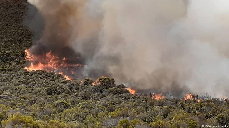 State Pulls All Resources To Contain Wildfire At Mt Kilimanjaro - Tanzania